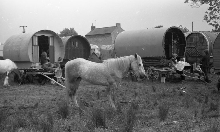 Horse With Caravans