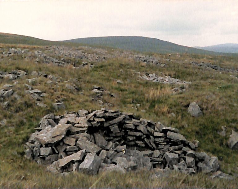 Photograph of Fell Close Showing Grouse Butt