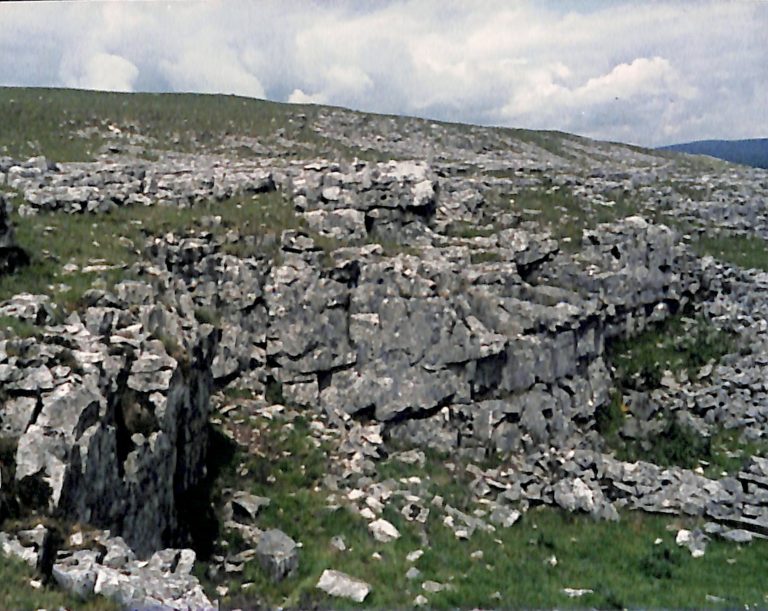 Photograph of Old Quarry Near Beecroft, Horton