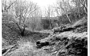 Photograph of Stone Quarry at Studfold