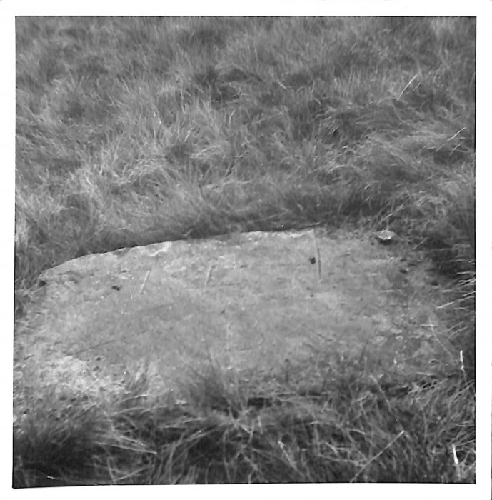 Photograph of Horton Parish Boundary Stone on Fountains Fell