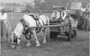 Photograph of Farm Cart at Horton Gala
