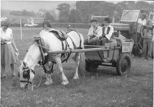 Photograph of Farm Cart at Horton Gala
