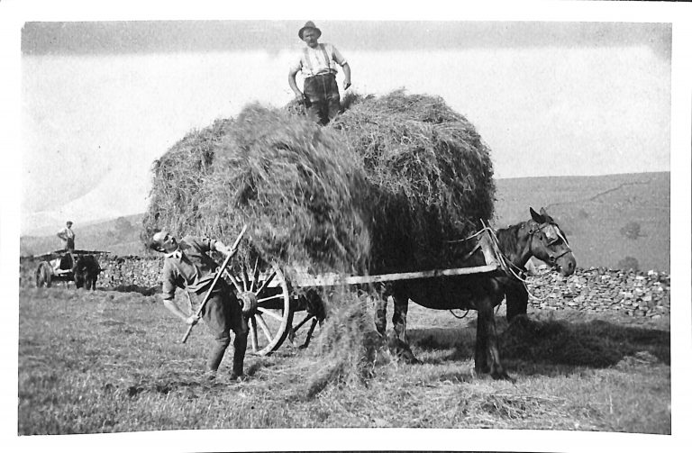 Photograph of Mr Charles Perfect Throwing Hay onto Cart