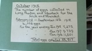 WW1 - Record of Eggs collected