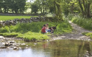 An idyllic family picnic in the Dales