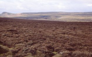 View from Halton High Crag to Embsay Moor and Embsay Crag