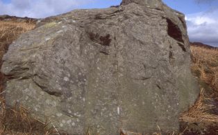 Halton High Crag: sandstone showing current bedding ii