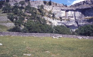 Geology: Malham Cove from S ii