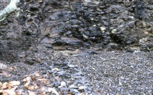 Slipped shale of the Bowland Shale Formation i