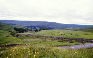 Cray Pastures above Kettlewell