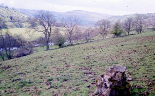 View over River Swale, Wood End, E of Feetham